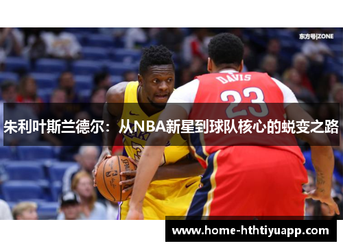 朱利叶斯兰德尔：从NBA新星到球队核心的蜕变之路